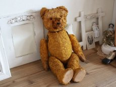 画像1: Antique Shabby Old Bear/18 1/2in/France (1)