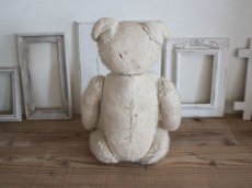 画像11: RARE!! Antique French White Bear / 17 1/2in/ France (11)