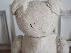 画像12: RARE!! Antique French White Bear / 17 1/2in/ France (12)