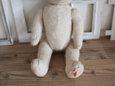 画像7: RARE!! Antique French White Bear / 17 1/2in/ France (7)