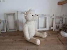 画像13: RARE!! Antique French White Bear / 17 1/2in/ France (13)