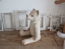 画像14: RARE!! Antique French White Bear / 17 1/2in/ France (14)