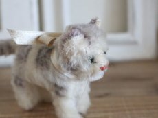 画像10: Antique Steiff Tabby B /Germany (10)