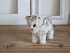 画像1: Antique Steiff Tabby B /Germany (1)