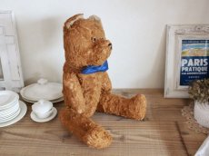 画像7: Antique French Bear / 17in /  France (7)