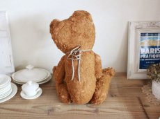 画像8: Antique French Bear / 17in /  France (8)