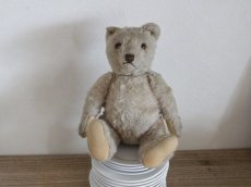 画像1: Antique TeddyBear / 8in /  Germany (1)