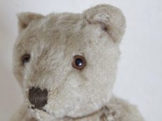 画像3: Antique TeddyBear / 8in /  Germany (3)