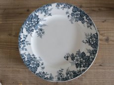 画像1: ST AMAND HAMAGE MARIE-LOUISE PLATE / 29.5 cm /France (1)