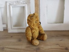 画像4: Antique Bear / 9in (4)