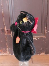 画像8: Steiff Hand Kater / Hand Puppet / Germany (8)