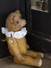 画像11: Antique Bear /18in / Germany (11)