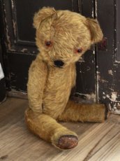 画像9: Antique Dress Bear /16 1/2in / British (9)