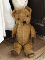 画像6: Antique Dress Bear /16 1/2in / British (6)