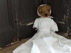 画像1: Antique Dress Bear /16 1/2in / British (1)