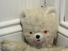 画像2: Antique White Bear / 8in /France (2)