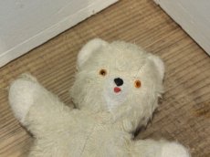 画像6: Antique White Bear / 8in /France (6)