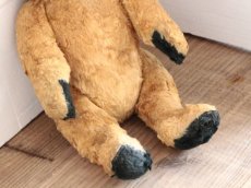 画像6: Antique Sooty Bear / 12in / Germany (6)