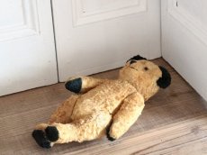 画像12: Antique Sooty Bear / 12in / Germany (12)