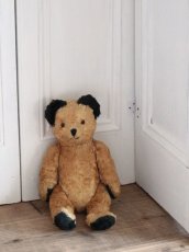 画像1: Antique Sooty Bear / 12in / Germany (1)