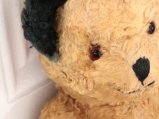 画像4: Antique Sooty Bear / 12in / Germany (4)