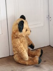 画像7: Antique Sooty Bear / 12in / Germany (7)