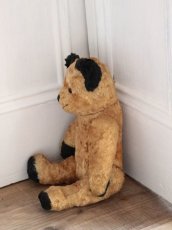 画像8: Antique Sooty Bear / 12in / Germany (8)