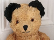 画像2: Antique Sooty Bear / 12in / Germany (2)