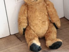 画像5: Antique Sooty Bear / 12in / Germany (5)