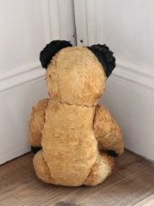 画像9: Antique Sooty Bear / 12in / Germany (9)