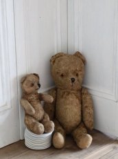 画像12: Antique Shabby Bear / 17in (12)