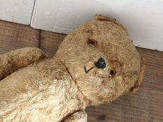 画像7: Antique Shabby Bear / 17in (7)