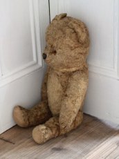 画像8: Antique Shabby Bear / 17in (8)