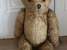 画像5: Antique Shabby Bear / 17in (5)