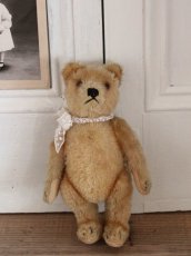 画像11: Antique Steiff Bear / 8in /Germany (11)