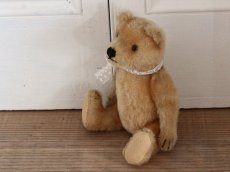 画像8: Antique Steiff Bear / 8in /Germany (8)