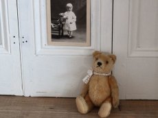 画像1: Antique Steiff Bear / 8in /Germany (1)