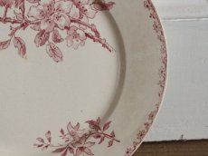 画像5: Digoin Sarreguemines / Favori / Plate / 23.5cm /France (5)