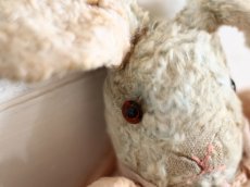 画像4: Antique shabby bunny / 9in /Germany (4)