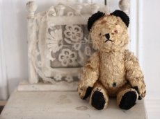 画像1: SOOTY BEAR / British (1)