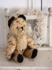 画像10: SOOTY BEAR / British (10)