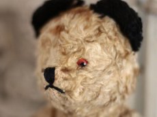 画像4: SOOTY BEAR / British (4)