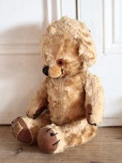 画像9: Kさま専用カートです。/Rare!Merrythought Cheeky Bear /11in /British (9)