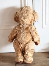 画像10: Kさま専用カートです。/Rare!Merrythought Cheeky Bear /11in /British (10)