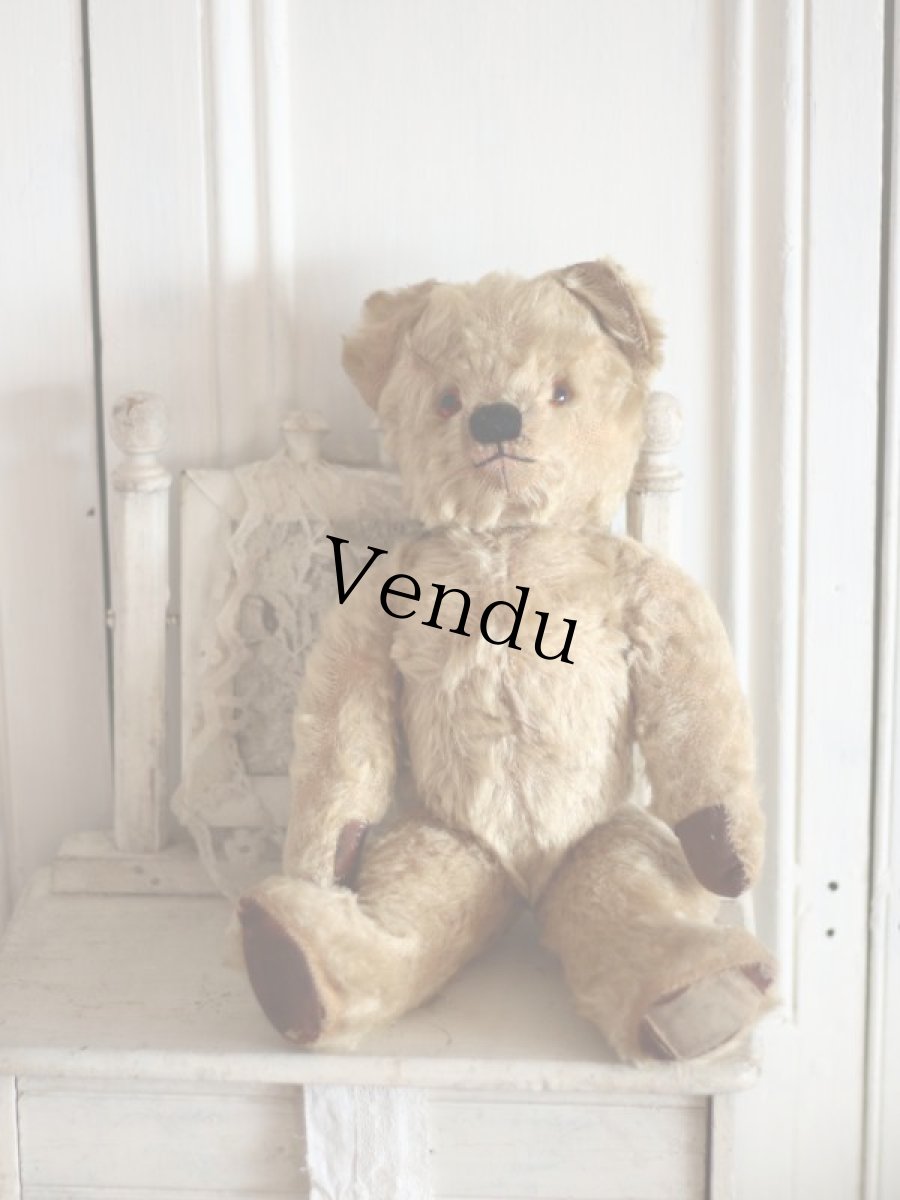 画像1: Size Cute! Chad Valley Bear /12in /British (1)