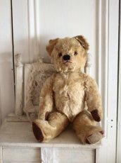 画像1: Size Cute! Chad Valley Bear /12in /British (1)