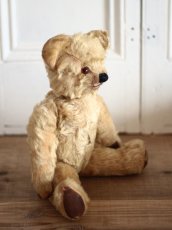 画像7: Size Cute! Chad Valley Bear /12in /British (7)