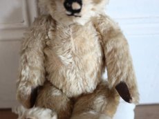 画像5: Cute!!Chad Valley Bear / 13.5in/ British (5)