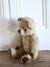 画像8: Cute!!Chad Valley Bear / 13.5in/ British (8)