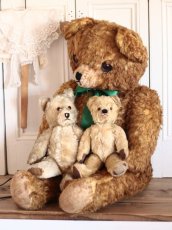 画像13: BIG!! Antique Teddy Bear  (13)